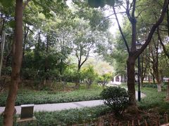 -华罗庚公园