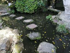 -杭州黄龙洞