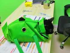 -圣宠动物医院·犬猫专科·影像中心·外科中心