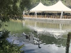 -宗角禄康公园