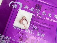 -宠欣安宠物医院·包河区中心医院