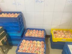 -老袁家蜜桃农场·阳山水蜜桃