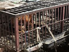 -沾益龚记辣子鸡(沾益店)