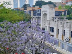 -厦门大学(思明校区)