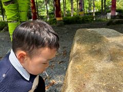 -中华孝德园