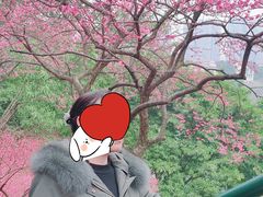 -重庆彩云湖湿地公园