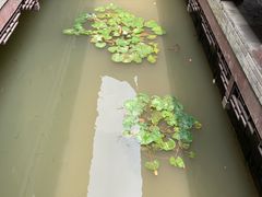 -韩湘水博园