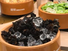 -龍歌自助小火锅(漳州二路爱购店)