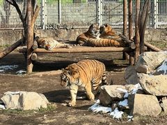 -西安秦岭野生动物园