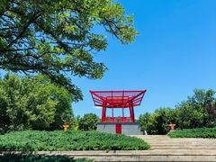 -大望京公园