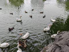 -团结湖公园