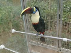 -南宫五洲植物乐园