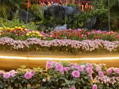-花溪雨·森林餐厅(石基店)