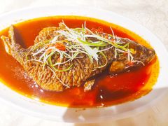 -津菜宋记老房子(平山道店)