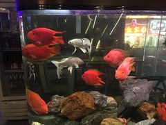 -质烤烤物·活烤海鲜(质烤总店)