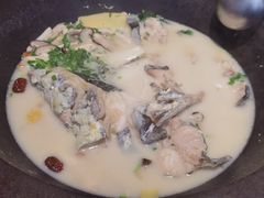 鲜潭蒸汽石锅江团鱼-鲜潭蒸汽石锅鱼(五道口购物中心店)