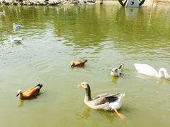 -五龙山野生动物王国
