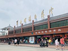 -白洋淀景区