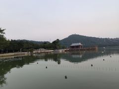 -顺峰山公园