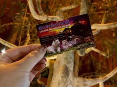 -清迈夜间动物园