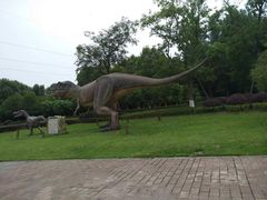 -自贡恐龙博物馆