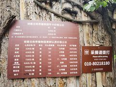 -呀路古热带植物园