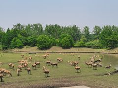 -溱湖国家湿地公园