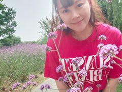 -鹅湖玫瑰文化园