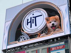 -涩谷全向十字路口