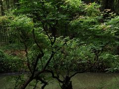 -兰亭风景区
