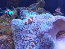 -Zoolung Zoolung动物主题公园(海信广场店)