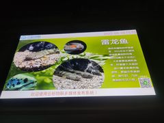 -太平洋海底世界