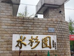 -水杉园