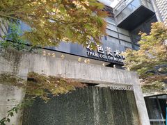 -苏州本色美术馆