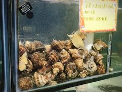 -蚝专家(北滘店)