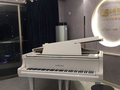 -乐尚音乐空间·钢琴·声乐·架子鼓(会展中心店)