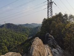 -南山植物园