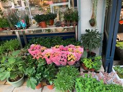 -溪岸路花鸟市场
