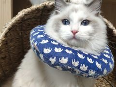 -康乐宝动物医院