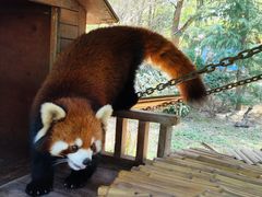 -常州淹城野生动物世界