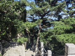 -崂山仰口游览区