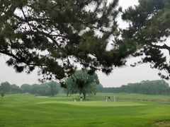 -北京京辉高尔夫俱乐部有限公司