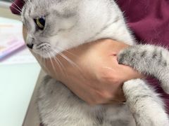 -宠福鑫康馨动物医院·骨科·眼科