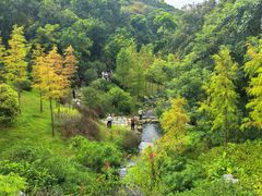 -云溪植物园