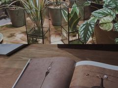 -柴务处·柴犬主题狗咖