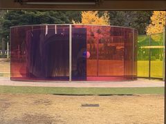 -金泽21世纪美术馆