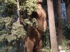 -陕西自然博物馆