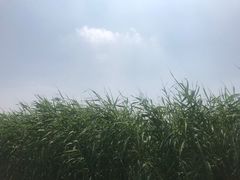 -处女泉风景名胜区