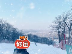 -中旅松花湖滑雪场