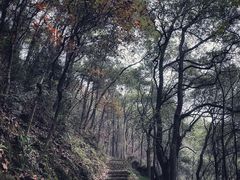 -悟饮门市景店